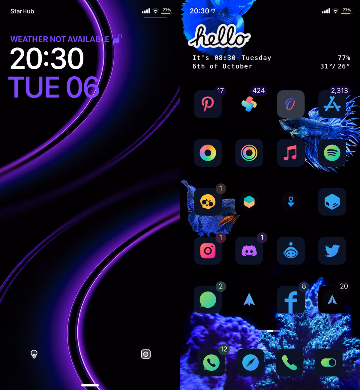 iOS Rice 8